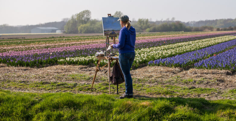 14 common misconceptions about the Dutch