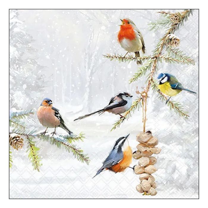 Pakje Servetten "Wintervogels" 