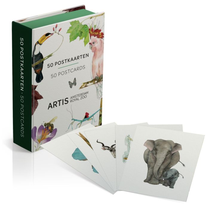 Doos met Postkaarten "Artis Prenten" (50 stuks)