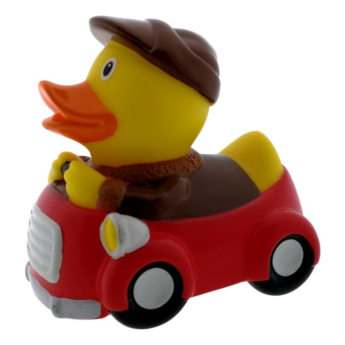 Badeend Bestuurder