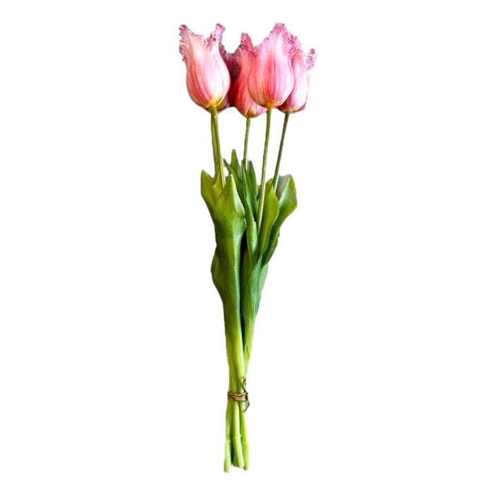 Bouquet of 5 Pink Fringed Tulips - 40 cm
