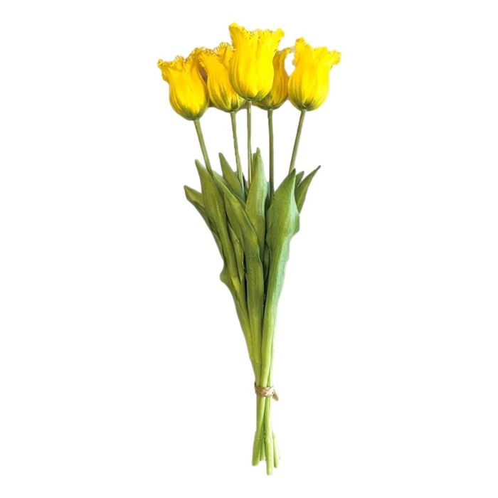 Bouquet of 5 Yellow Fringed Tulips - 40 cm
