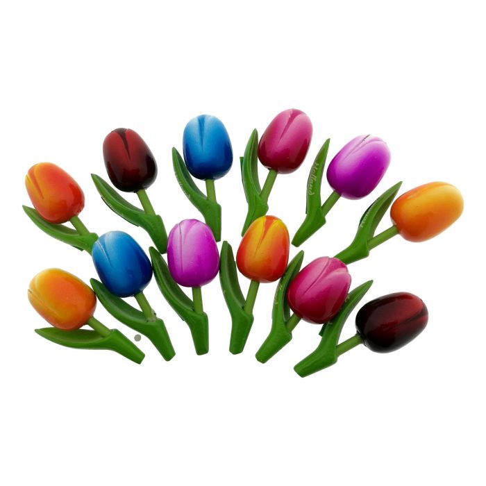 Gift Magnet set 12 Wooden Tulip Magnets, 8 cm