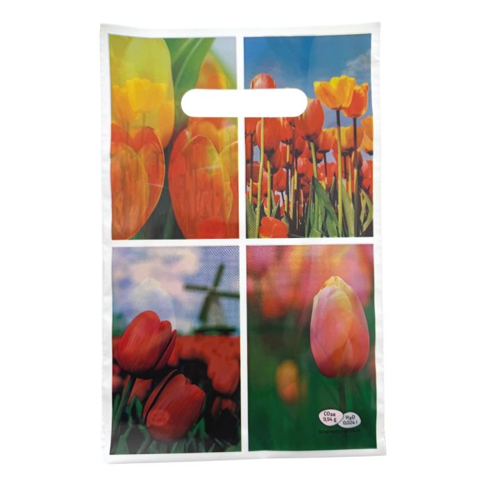 Tulip vase gift, with 9 tulips