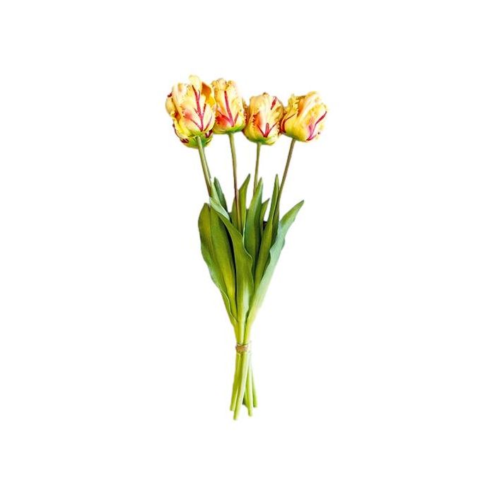 Boeket van 5 Creme/Roze Papegaaitulpen - 40 cm