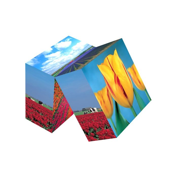 Magic cube Tulpen