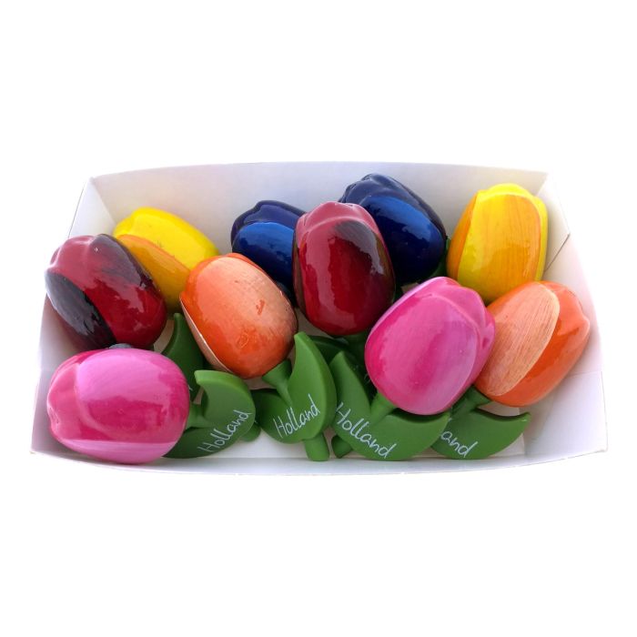 Set of Tulip Magnets, 10 pieces