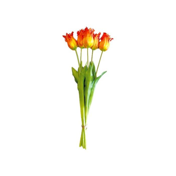 Bouquet of 5 Orange Fringe Tulips - 40 cm