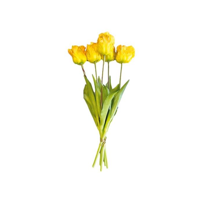 Bouquet of 5 Yellow Parrot Tulips - 40 cm