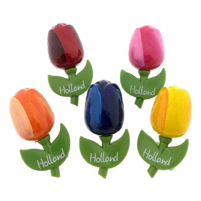 Setje Tulp Magneten, 5 stuks