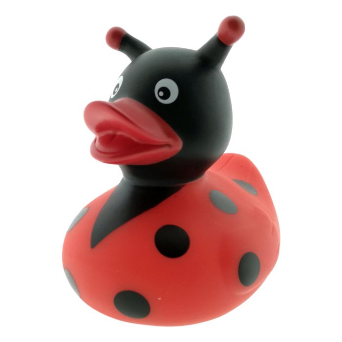 Badeend lieveheersbeestje