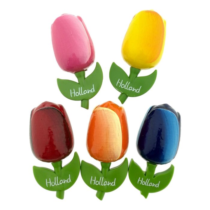 Set Tulip XL Magnets, 5 pieces Big
