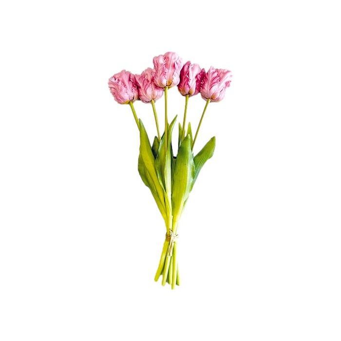 Boeket van 5 Paarse Papegaaitulpen - 40 cm