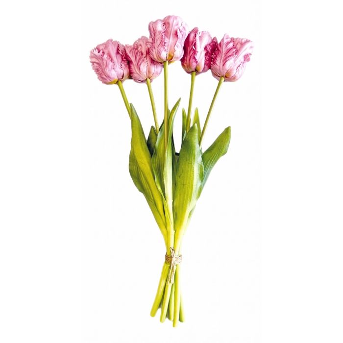 Bouquet of 5 Lilac Parrot Tulips - 40 cm