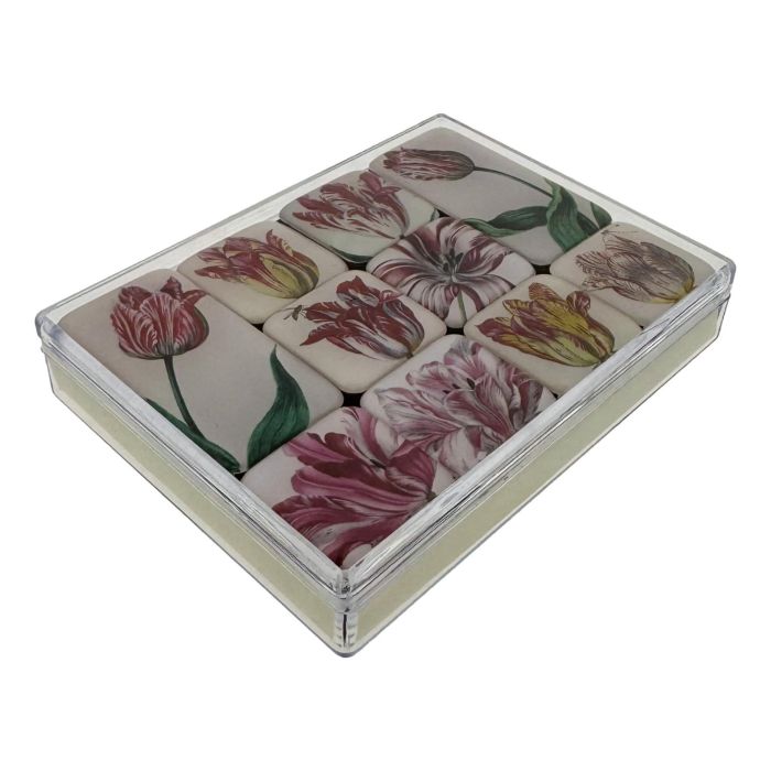 Mini Magneetjes Set Tulpen, Jacob Marrel