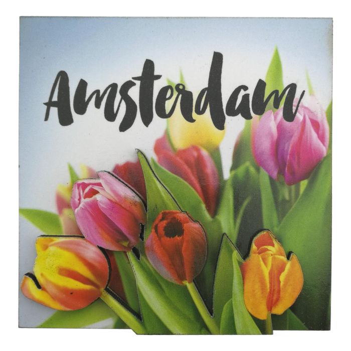 Magneet "Amsterdamse Houten Tulpen"