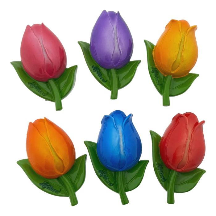 Set of 6 Large Tulip Magnets 'Holland' XL 