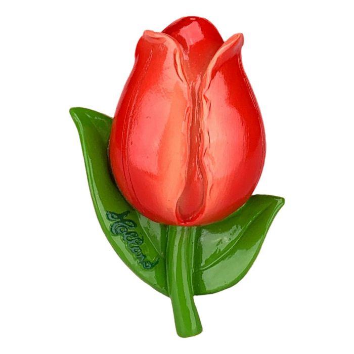 Magnet Red Tulip 