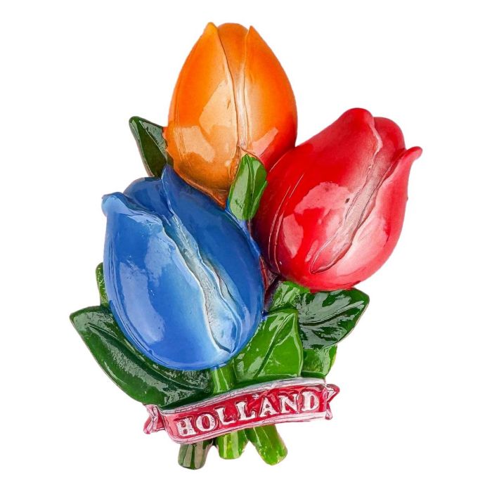 Magnet Tulip Bunch  - Red, Orange & Blue