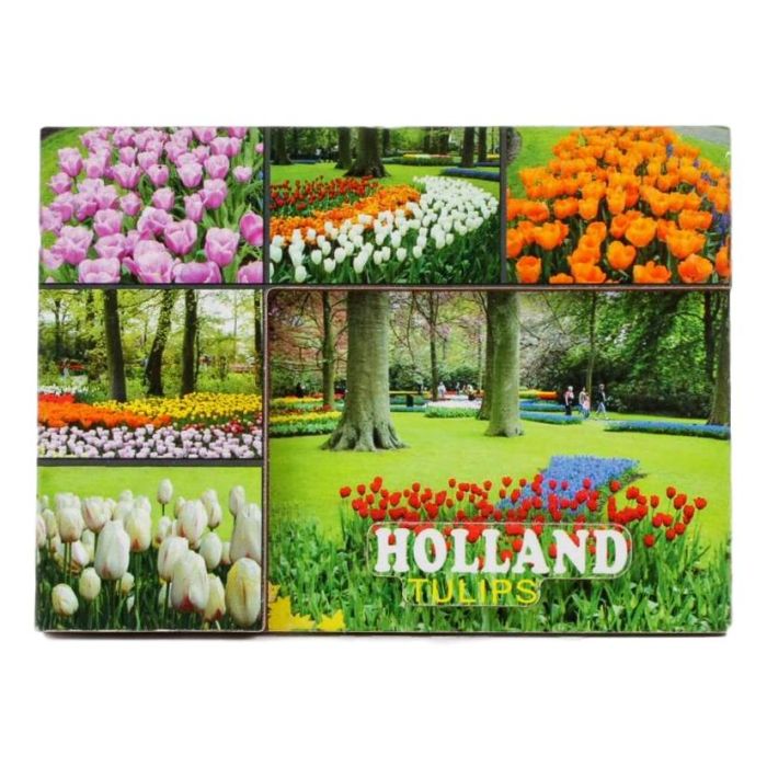 Koelkastmagneet "Tulpen Holland"