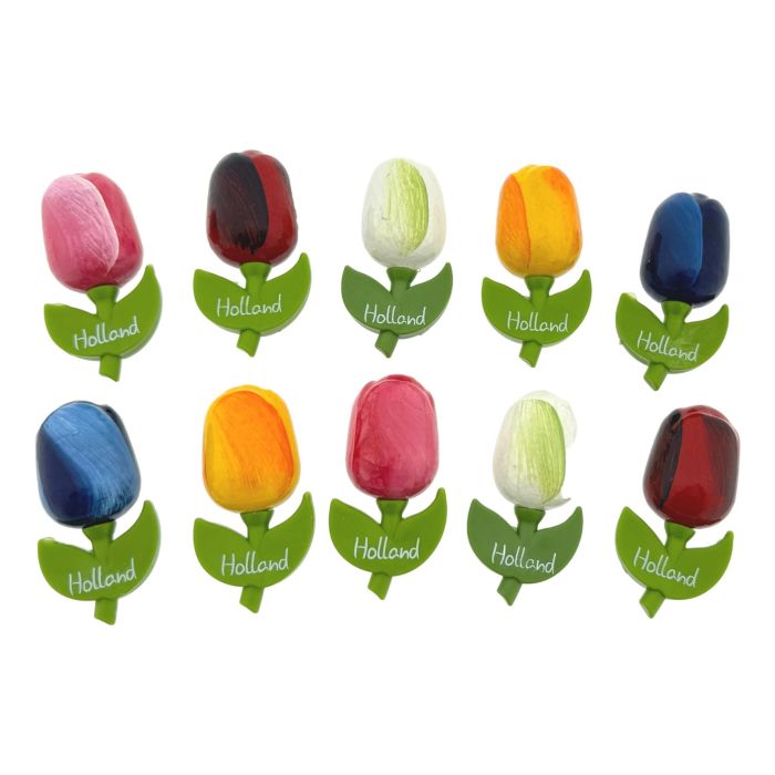Setje Tulp Magneten, 10 stuks