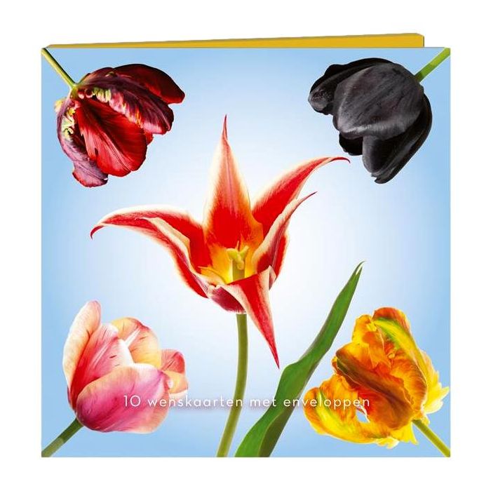 Tulip Card Case - 10 Greeting Cards with Envelopes