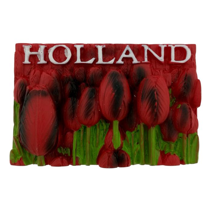 Rode Tulpen Magneet Holland - 3D