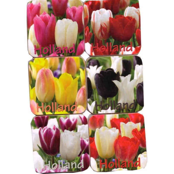 Onderzetters Tulpen 