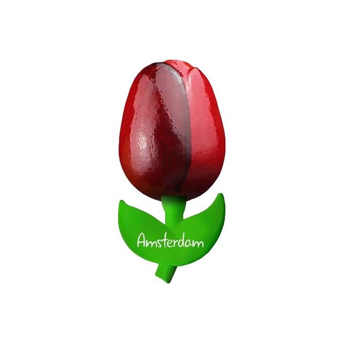 Tulp magneet "Rood met Aubergine", 10 cm