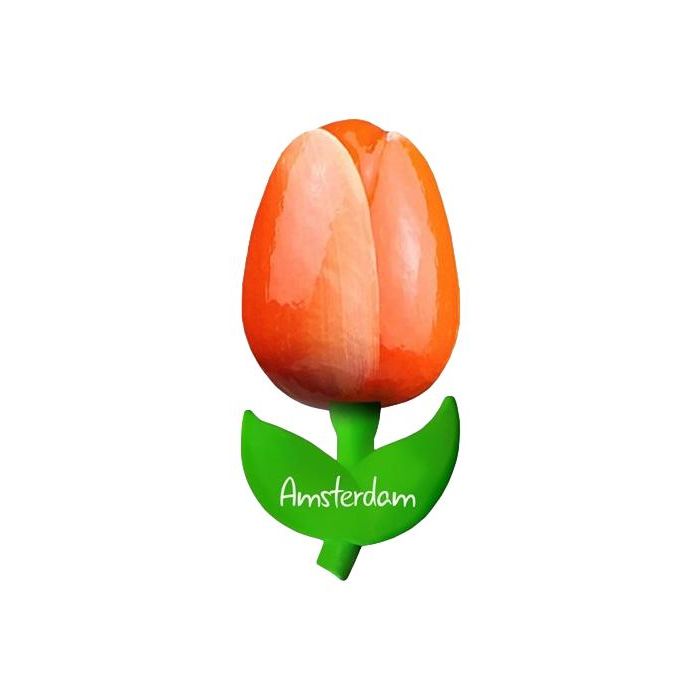 Tulp magneet "Oranje met wit", 10 cm
