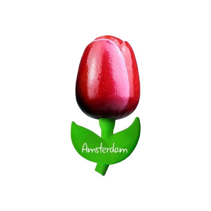Tulp magneet "Rood met wit", 10 cm