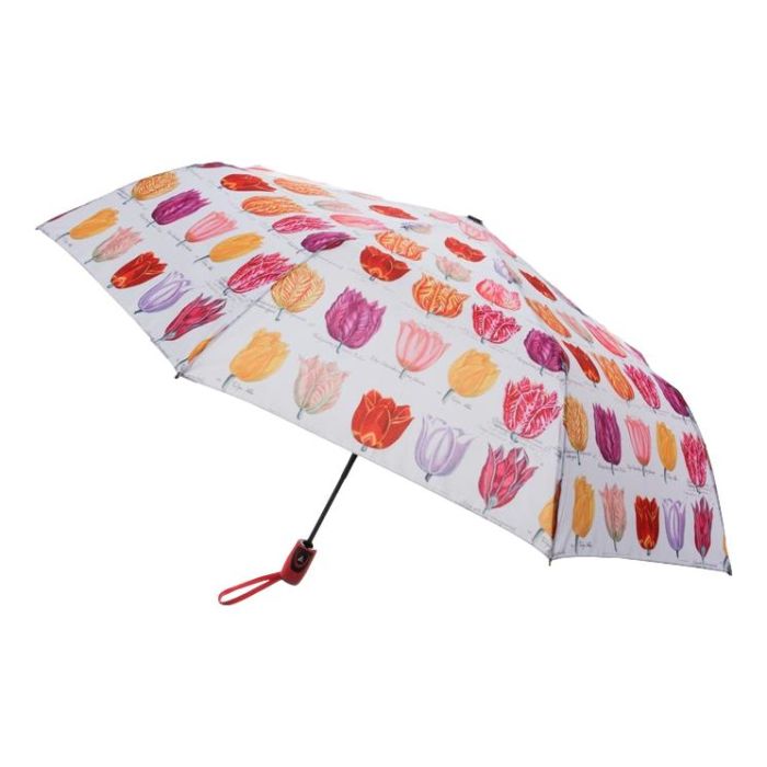 Umbrella Tulips Colored
