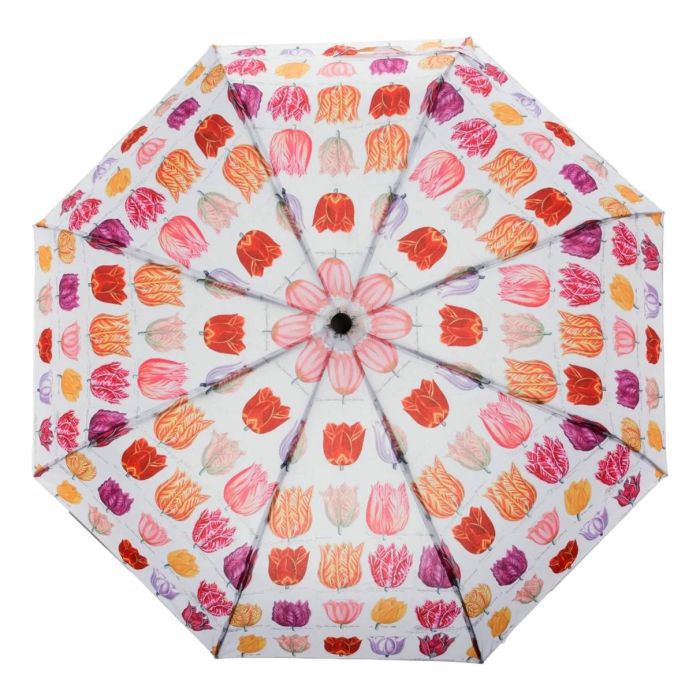 Umbrella Tulips Colored