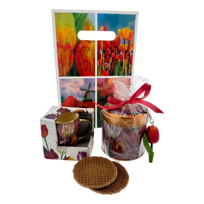Gift Bag Tulips Pink