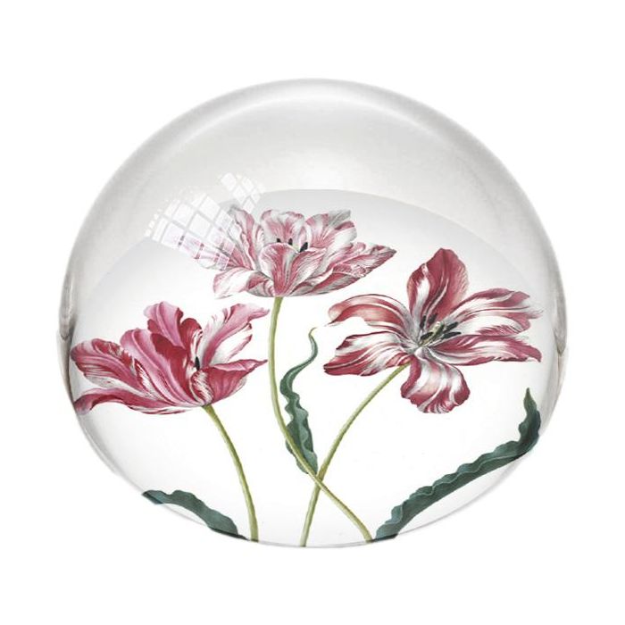 Paperweight Sphere "Three Tulips, Maria Sybilla Merian"