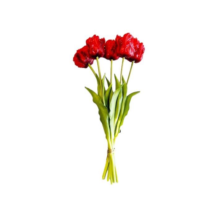 Bouquet of 5 Red Parrot Tulips - 40 cm