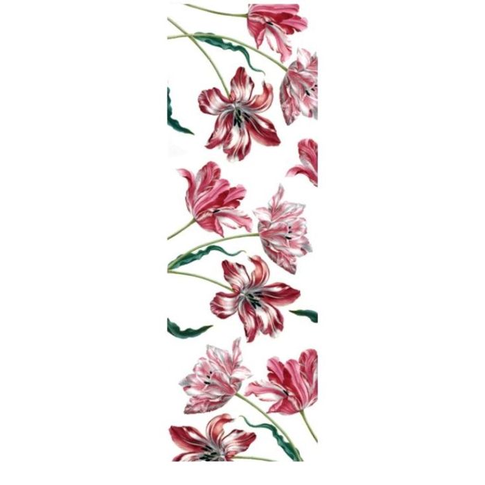 Sjaal Drie Tulpen, Maria Merian