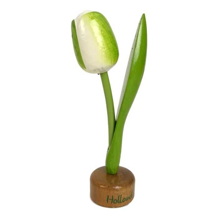 Tulip on wooden pedestal, white with green