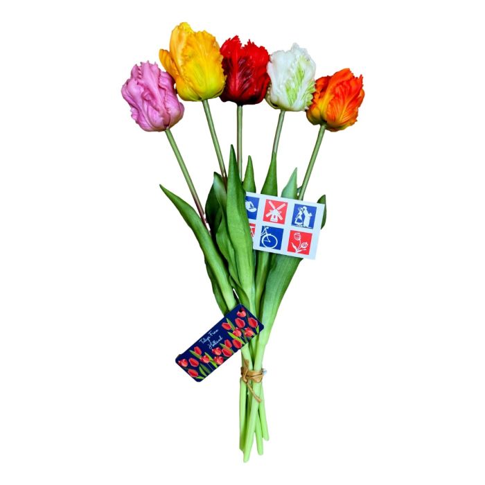 Zeg het met Tulpen - Cadeautas + Cadeaukaartje