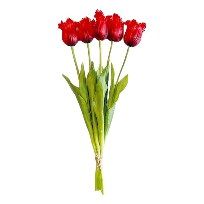 Bouquet of 5 Red Fringed Tulips - 40 cm