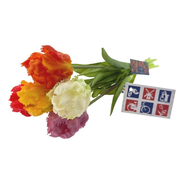 Zeg het met Tulpen - Cadeautas + Cadeaukaartje