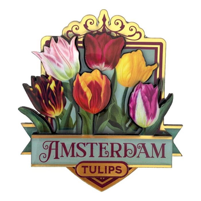 Shiny Tulip Magnet Amsterdam
