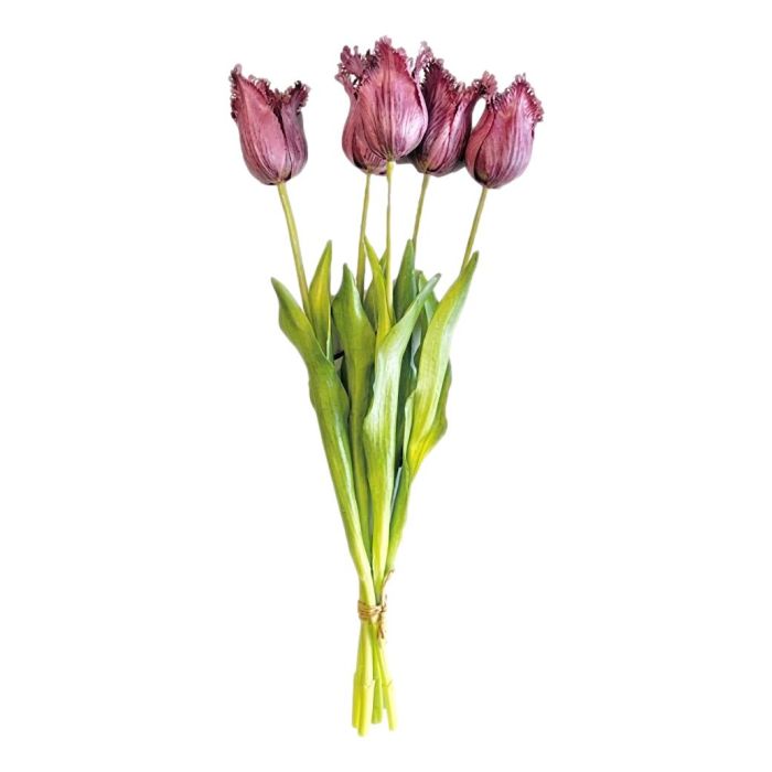 Bouquet of 5 Purple Fringed Tulips - 40 cm