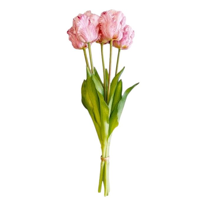 Bouquet of 5 Pink Parrot Tulips - 40 cm