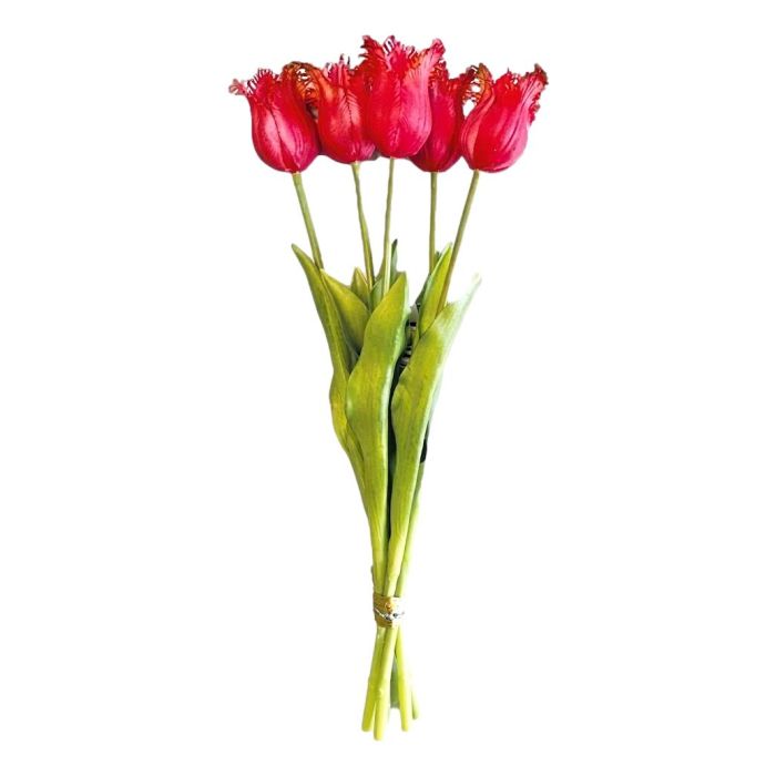 Bouquet of 5 Light Red Fringed Tulips - 40 cm