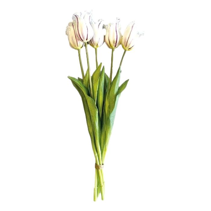 Bouquet of 5 White Fringed Tulips - 40 cm
