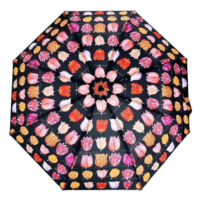 Umbrella Tulips Black