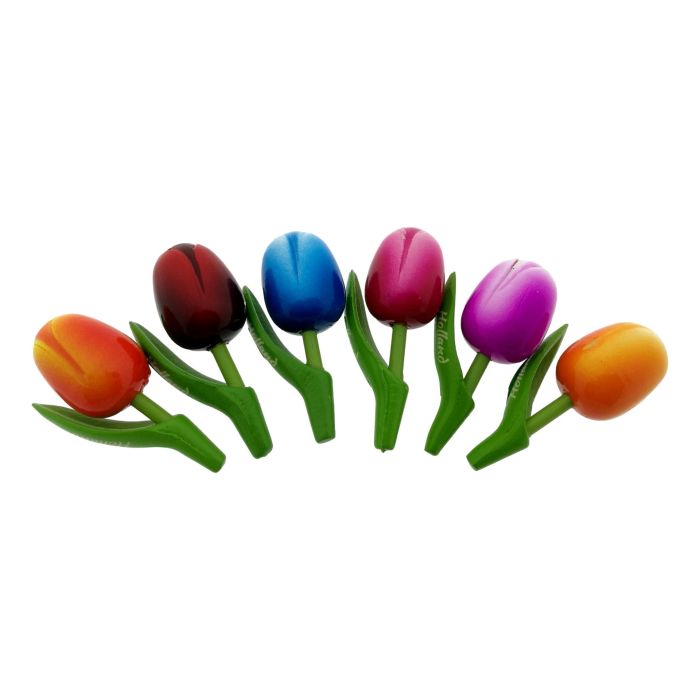 Gift Magnet set 6 Wooden Tulip Magnets, 8 cm