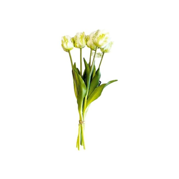 Bouquet of 5 White Parrot Tulips - 40 cm