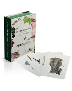 Doos met Postkaarten "Artis Prenten" (50 stuks)